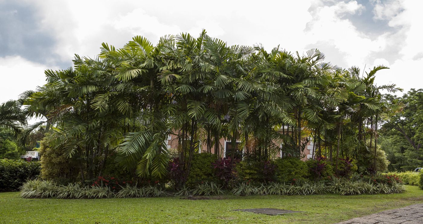 The-Villas-At-Stonehaven-Room-29