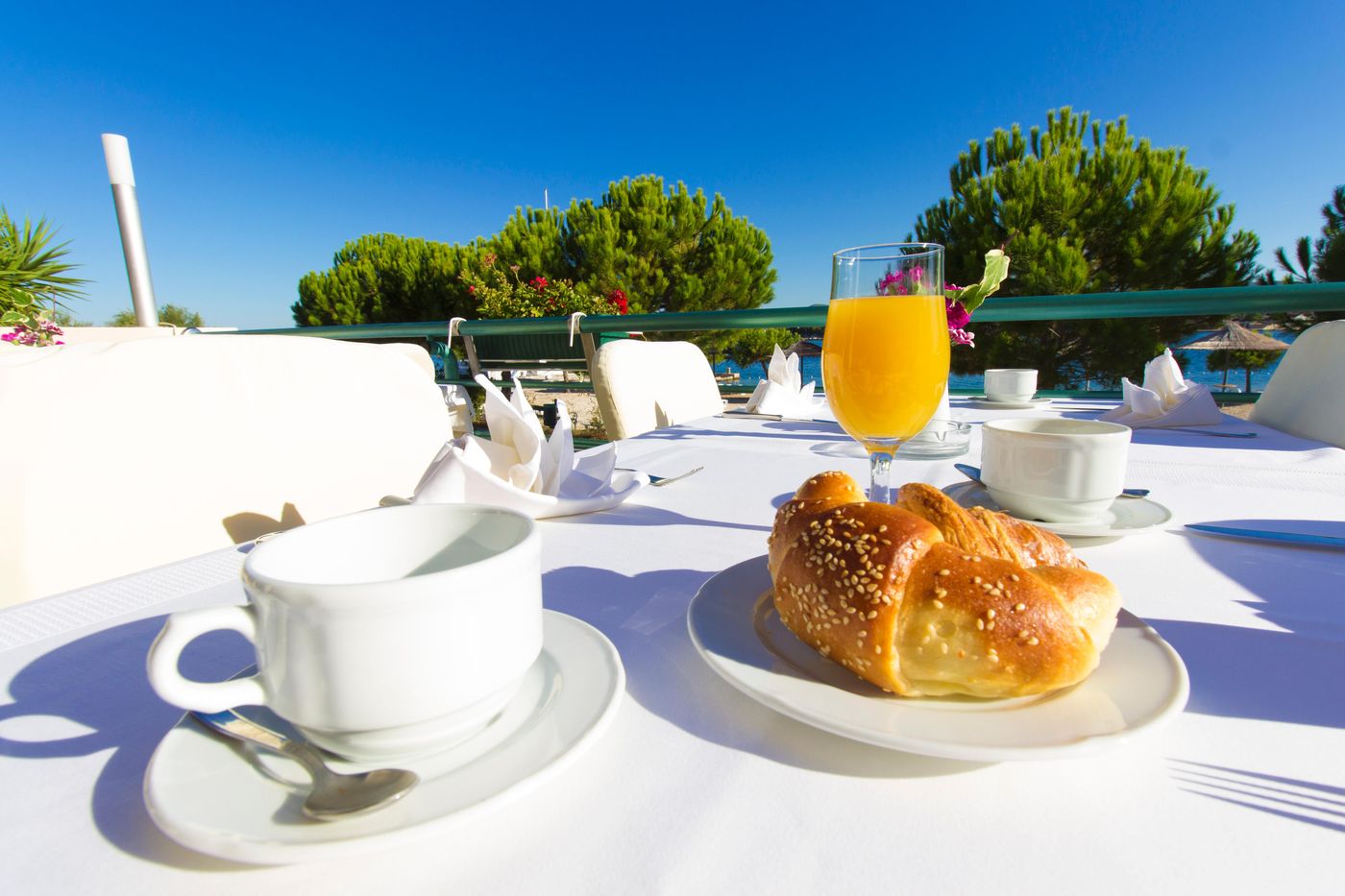 Spongiola-Terrace-76