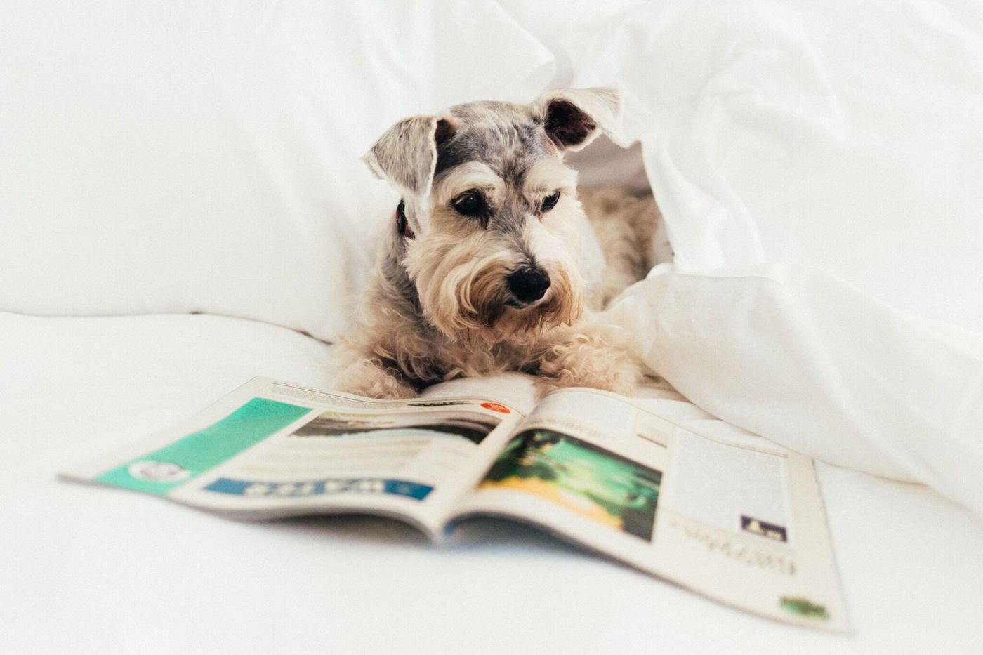 Loews Atlanta Hotel-United States-Atlanta-General view-5