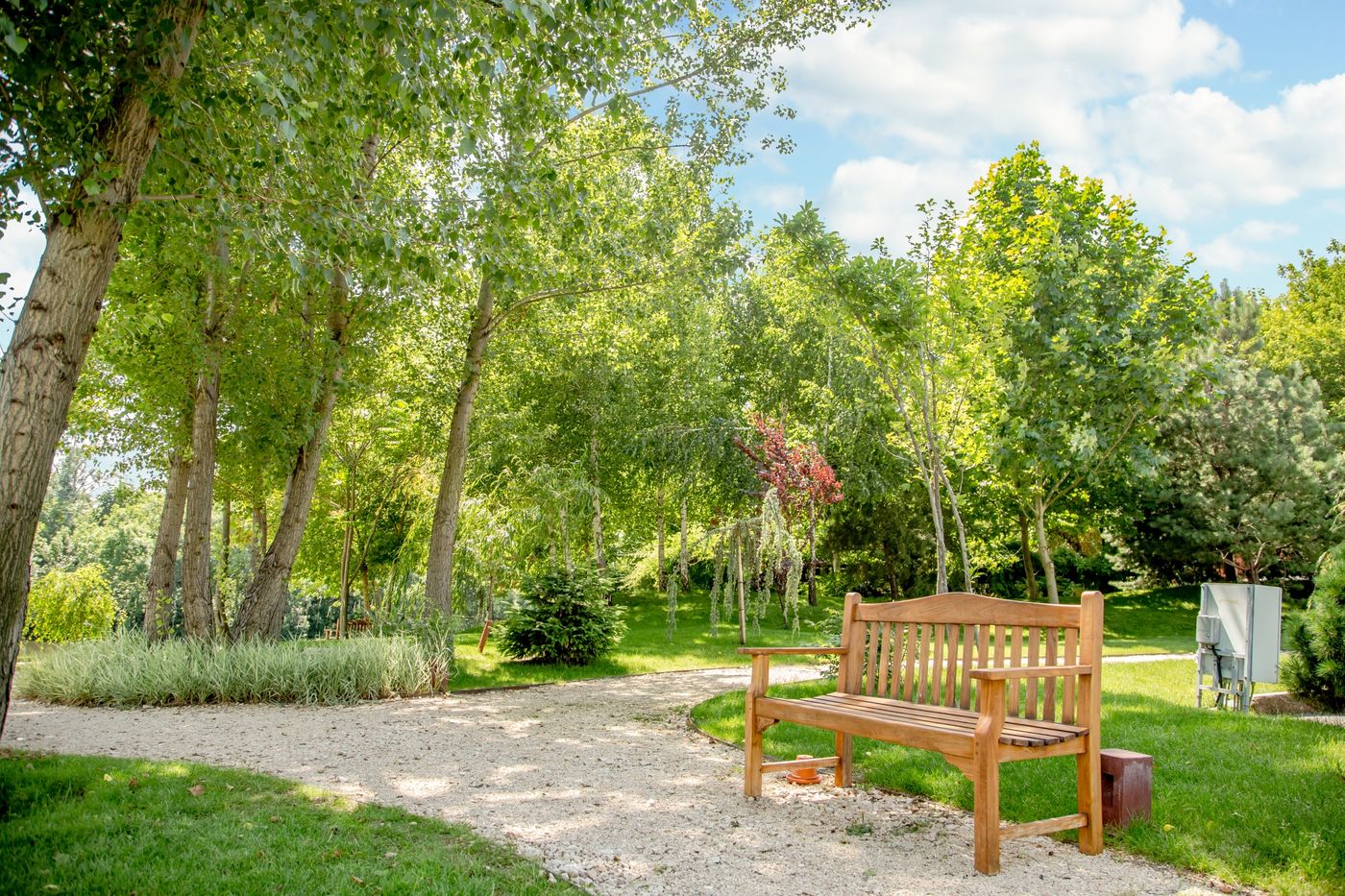 Caro Hotel - Romania - BUCHAREST - Terrace - 9