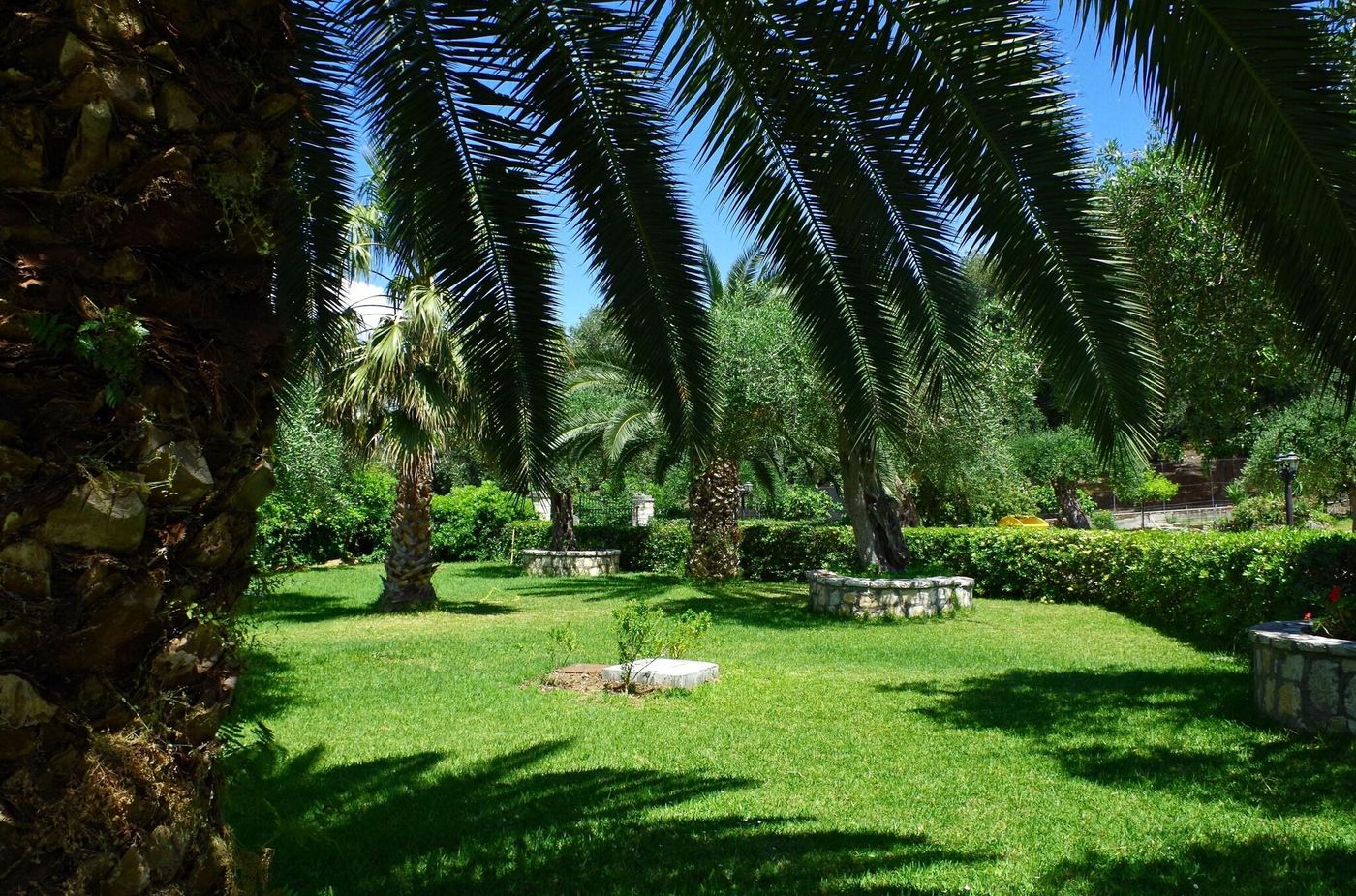 Nefeli-General-view-31