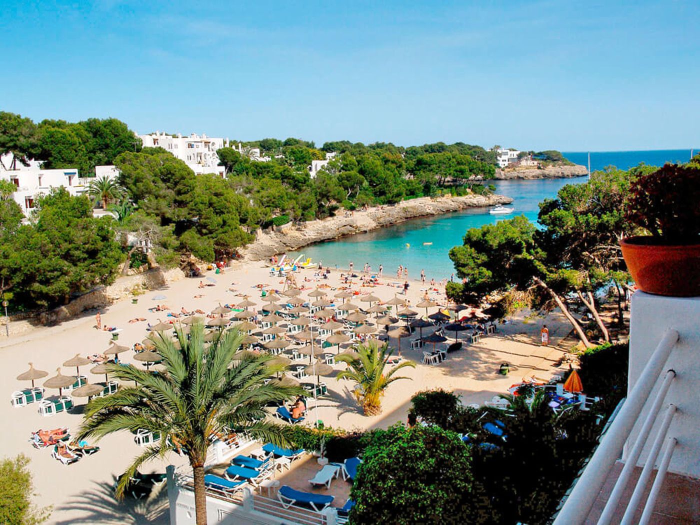 Rocador - Adults Only