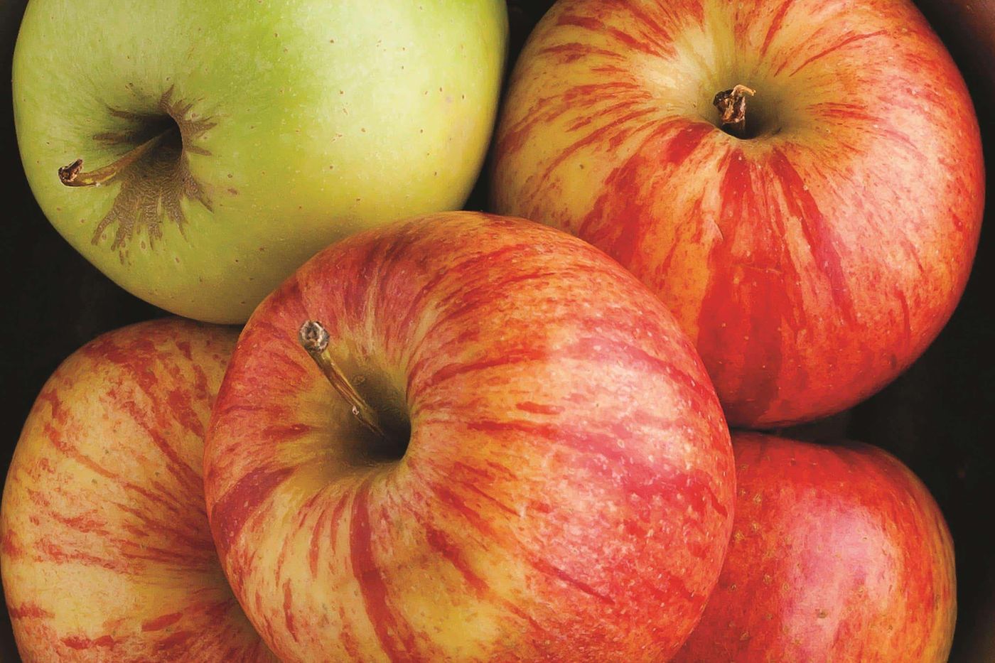 La Quinta Inn Vancouver Airport-Canada-RICHMOND-General view-4