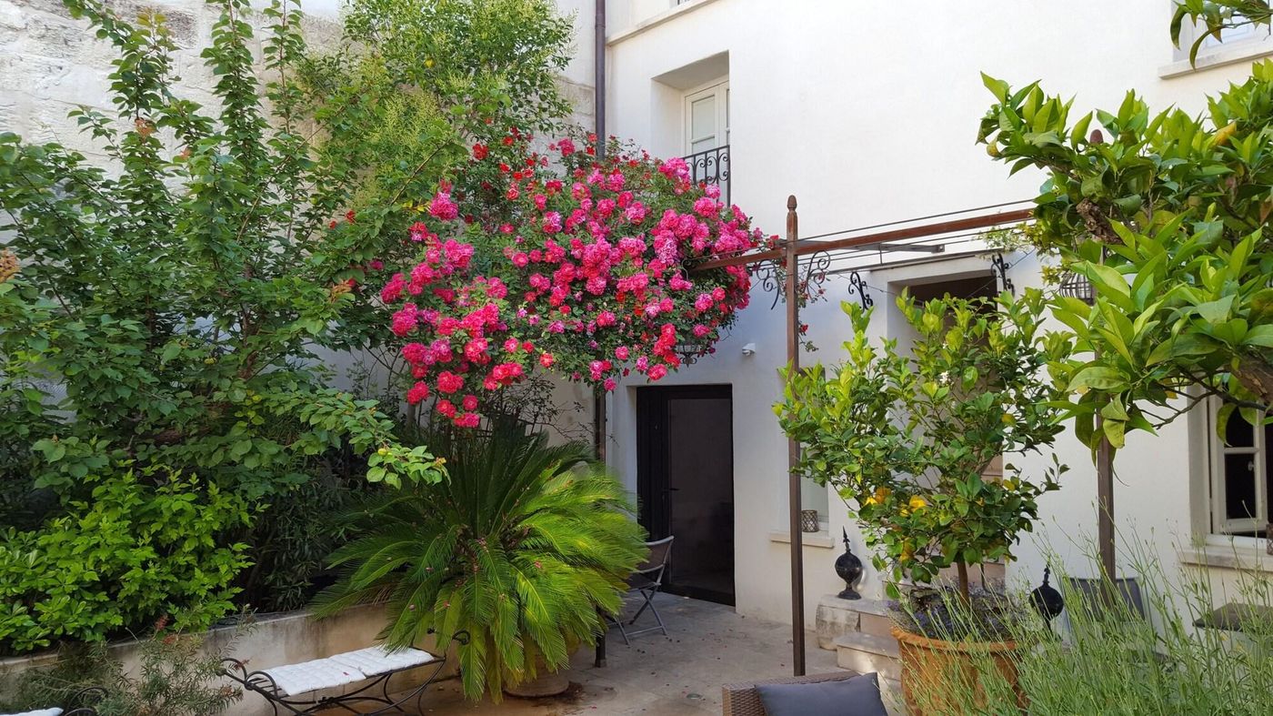 Aux Augustins-France-AVIGNON-General view-5