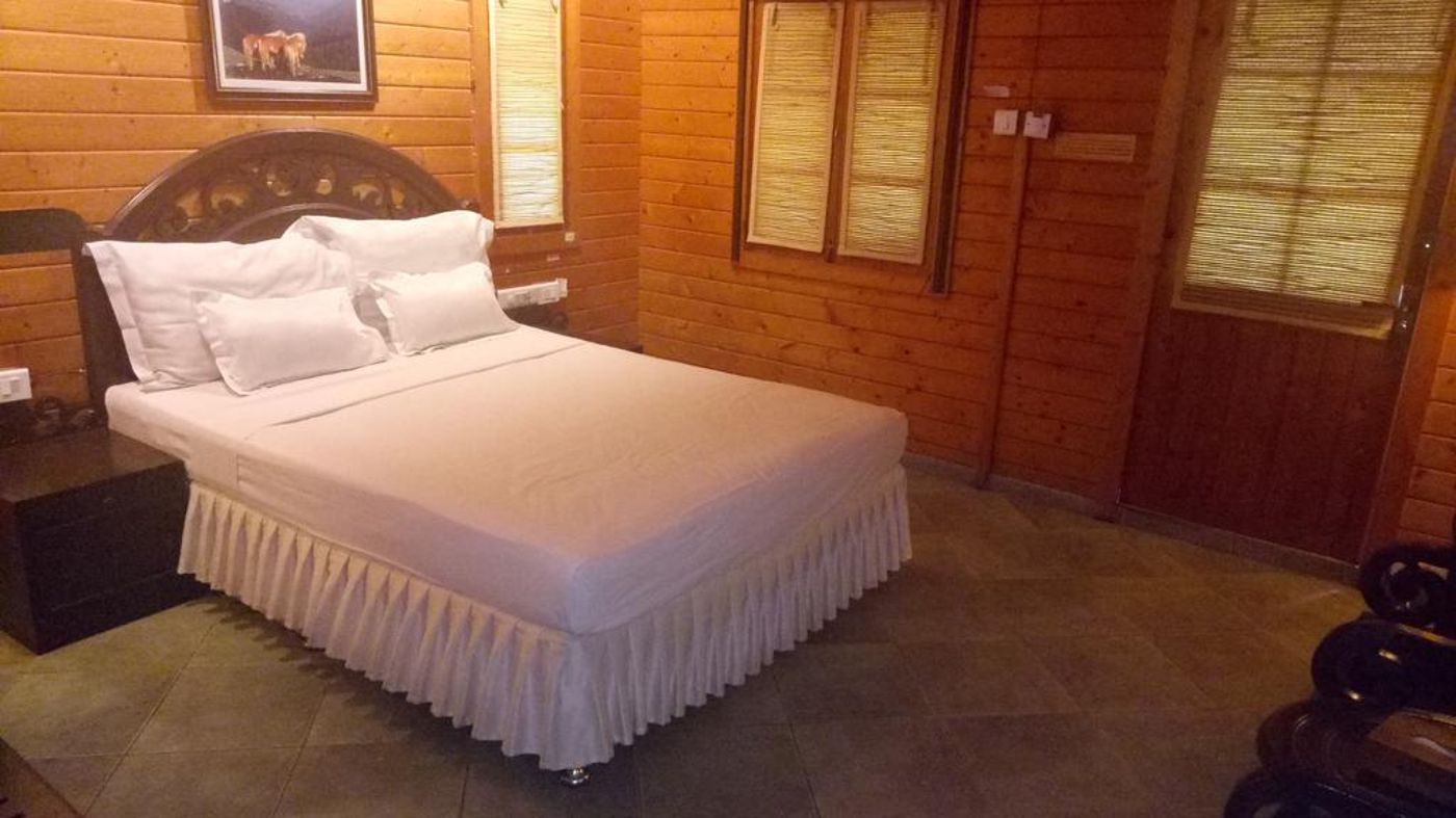 Primo Bom Terra Verde