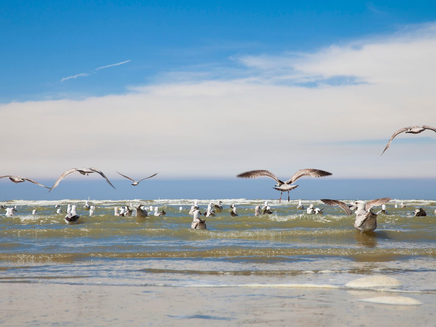 Hotel Mercure Blankenberge Station-Belgium-BLANKENBERGE-General view-8