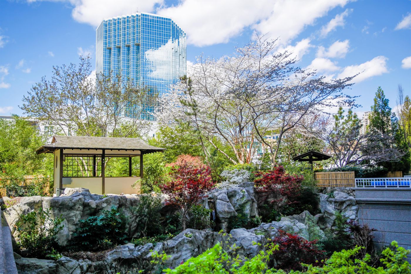 Grand Hyatt Atlanta In Buckhead-United States-ATLANTA-General view-7