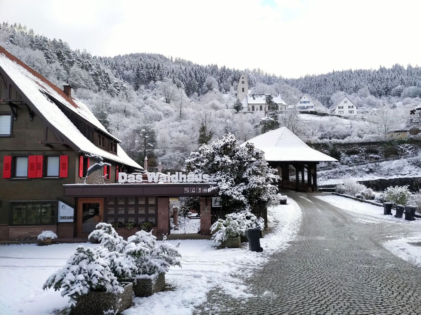 Das Waldhaus-Germany-FORBACH-General view-6