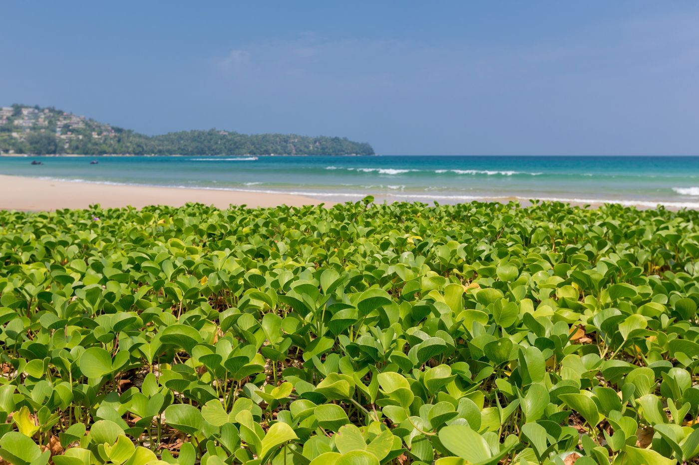 Sunwing-Bangtao-Beach-Beach-71