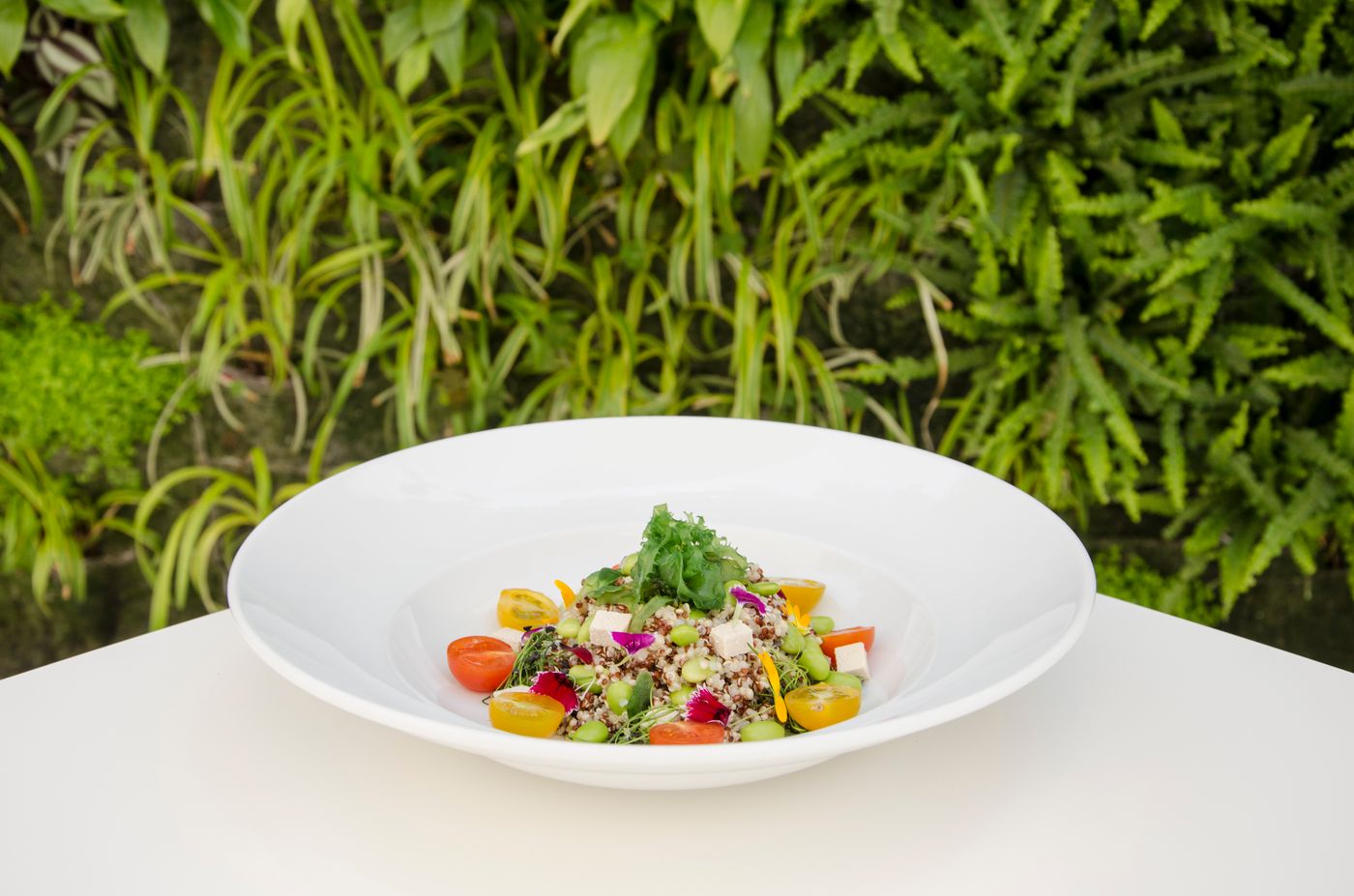 Hotel-Anfora-Ibiza-Bar-67