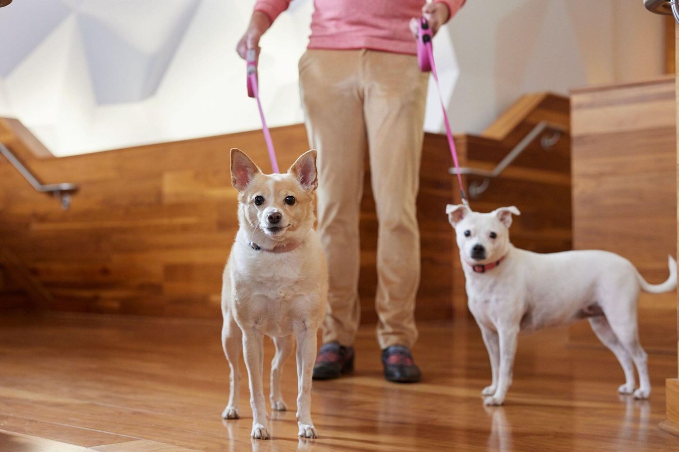 Sheraton Grand Nashville Downtown-United States-NASHVILLE-General view-3