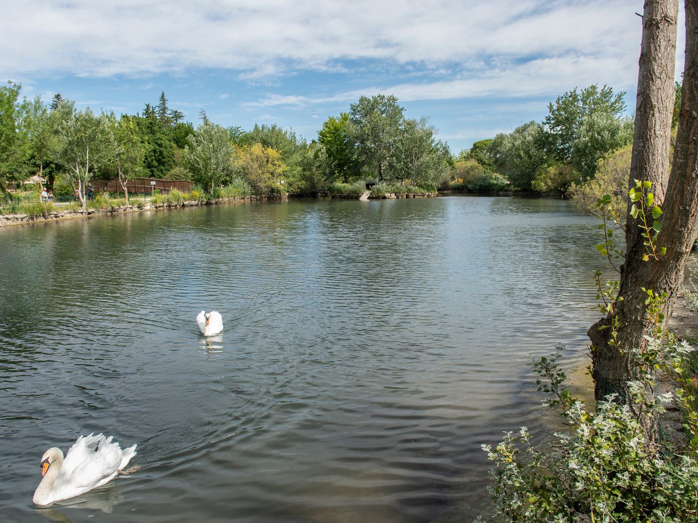 Residence Vacanceole Sun Hols Les rives du lac-France-ST SATURNIN LES AVIGNON-General view-5