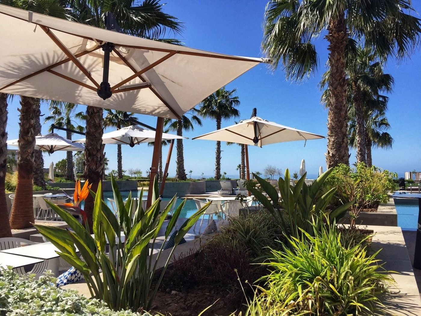 Hyatt-Place-Taghazout-Bay-Restaurant-13