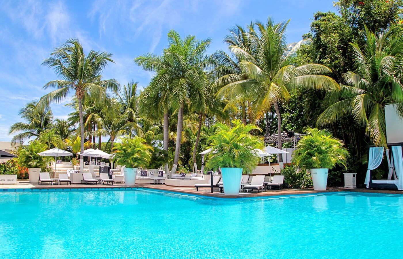 Oh! The Urban Oasis - Adults Only