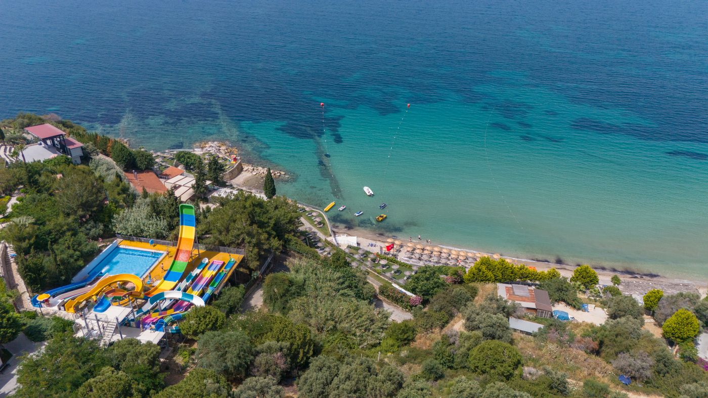 New - Sealight Family Club