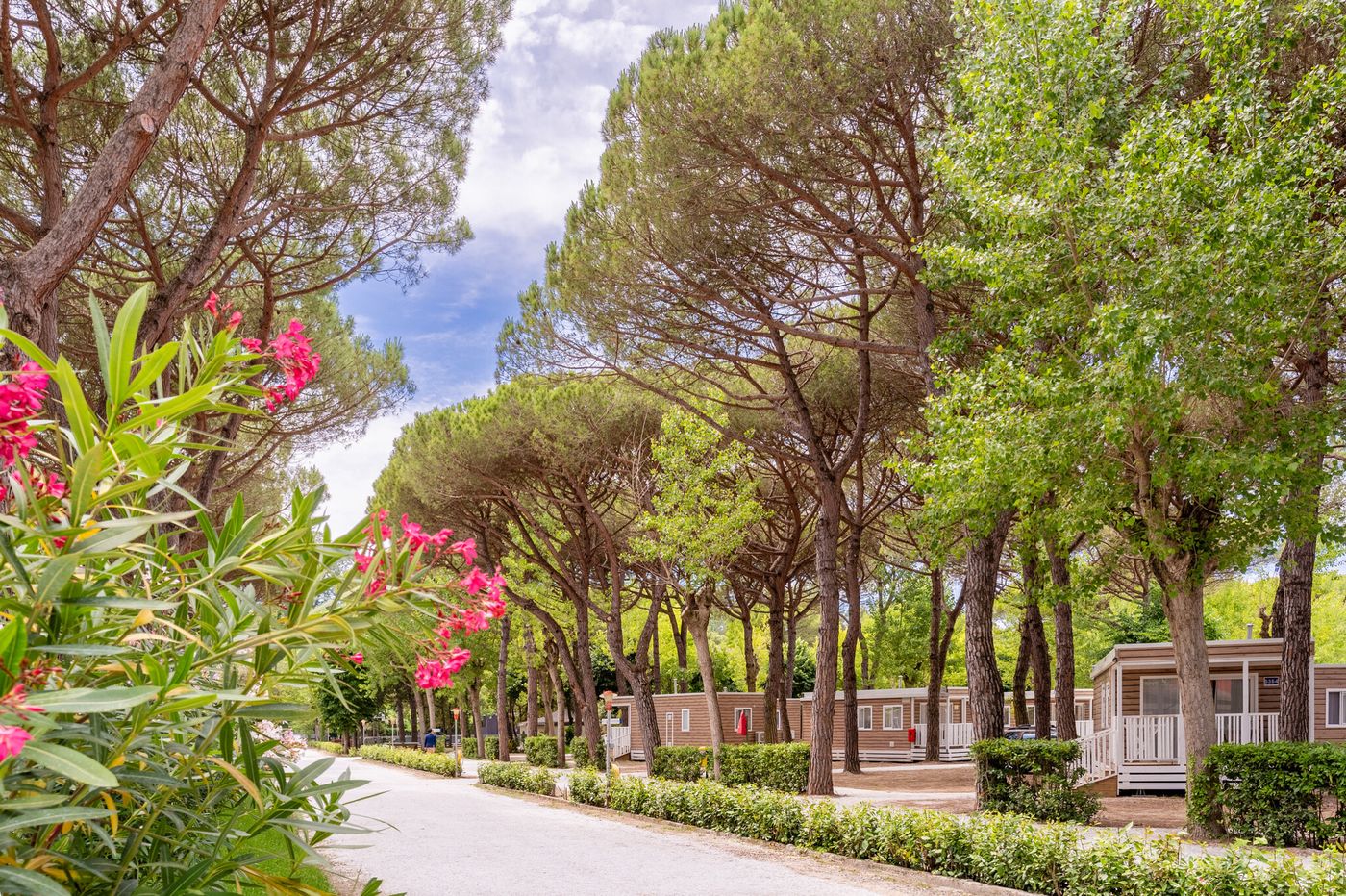 Club del Sole Viareggio Family Collection-Italy-Viareggio LU-Room-10