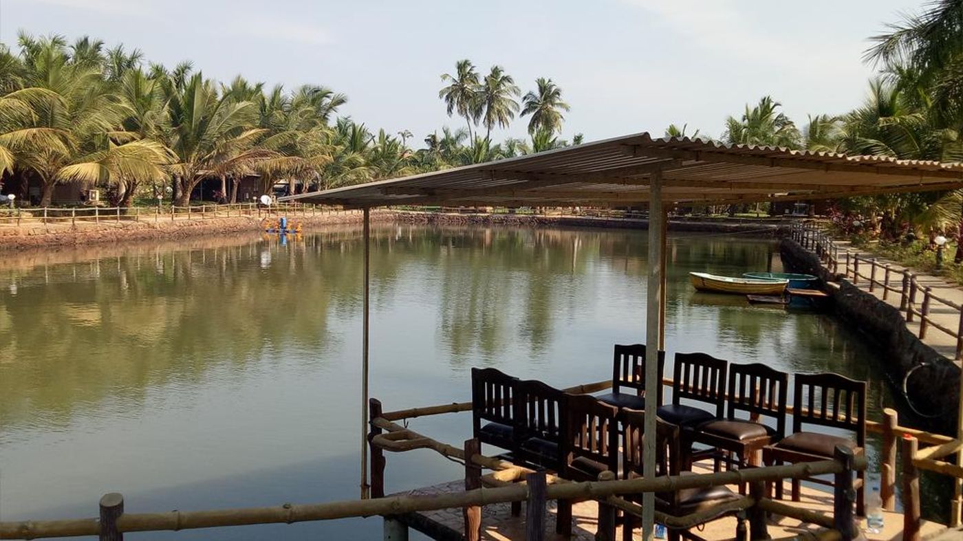 Primo Bom Terra Verde