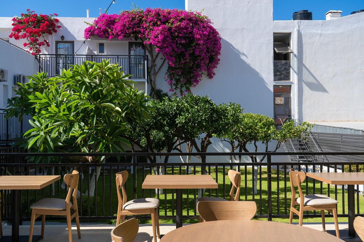 Malia-Holidays-Terrace-9