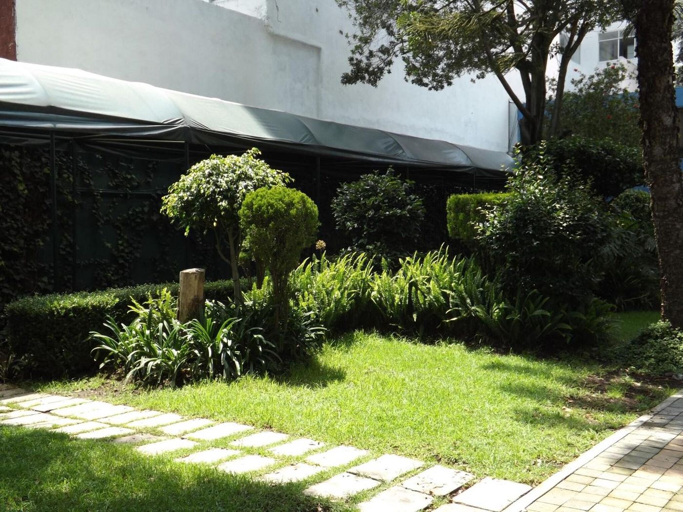 Pedregal Palace-Mexico-Ciudad De Mexico-General view-4