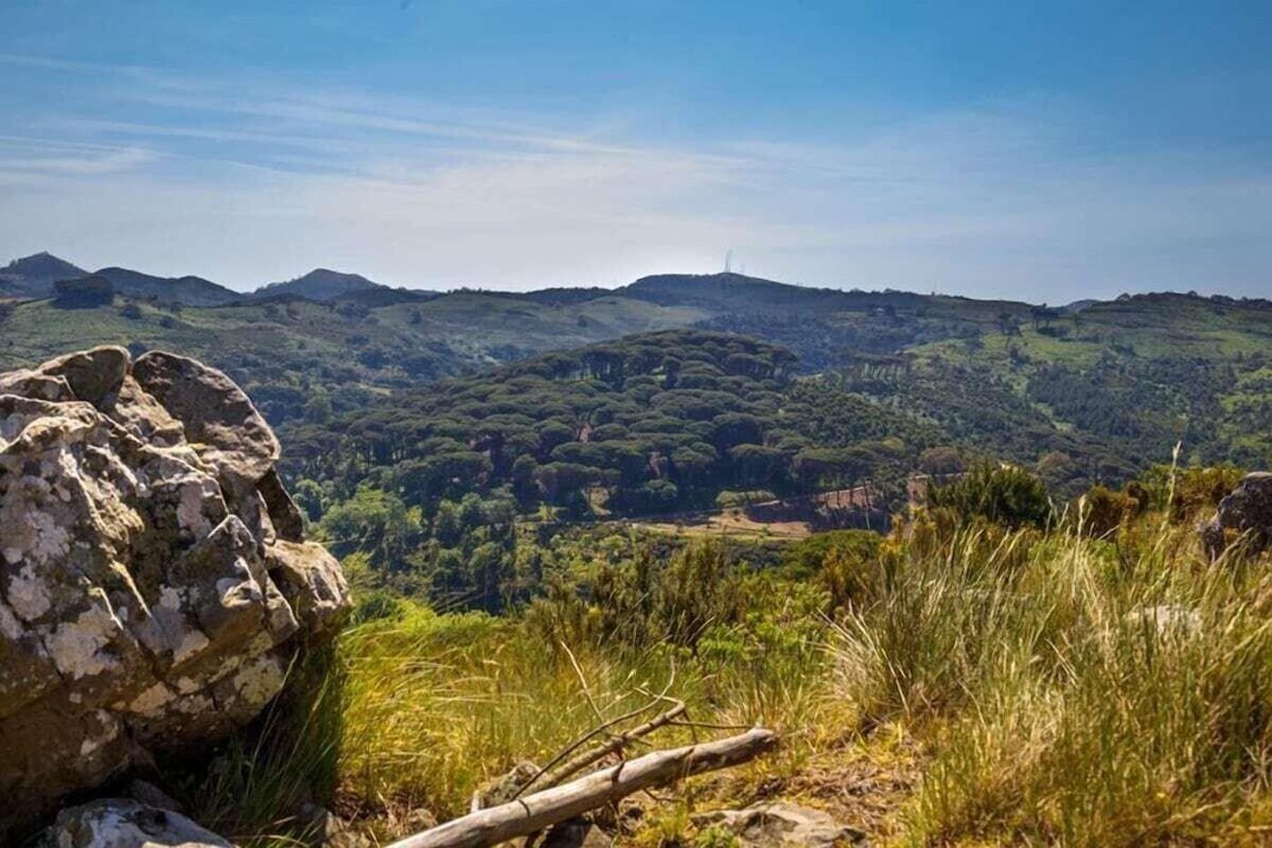 Hospedaria-Recome-ar-General-view-71