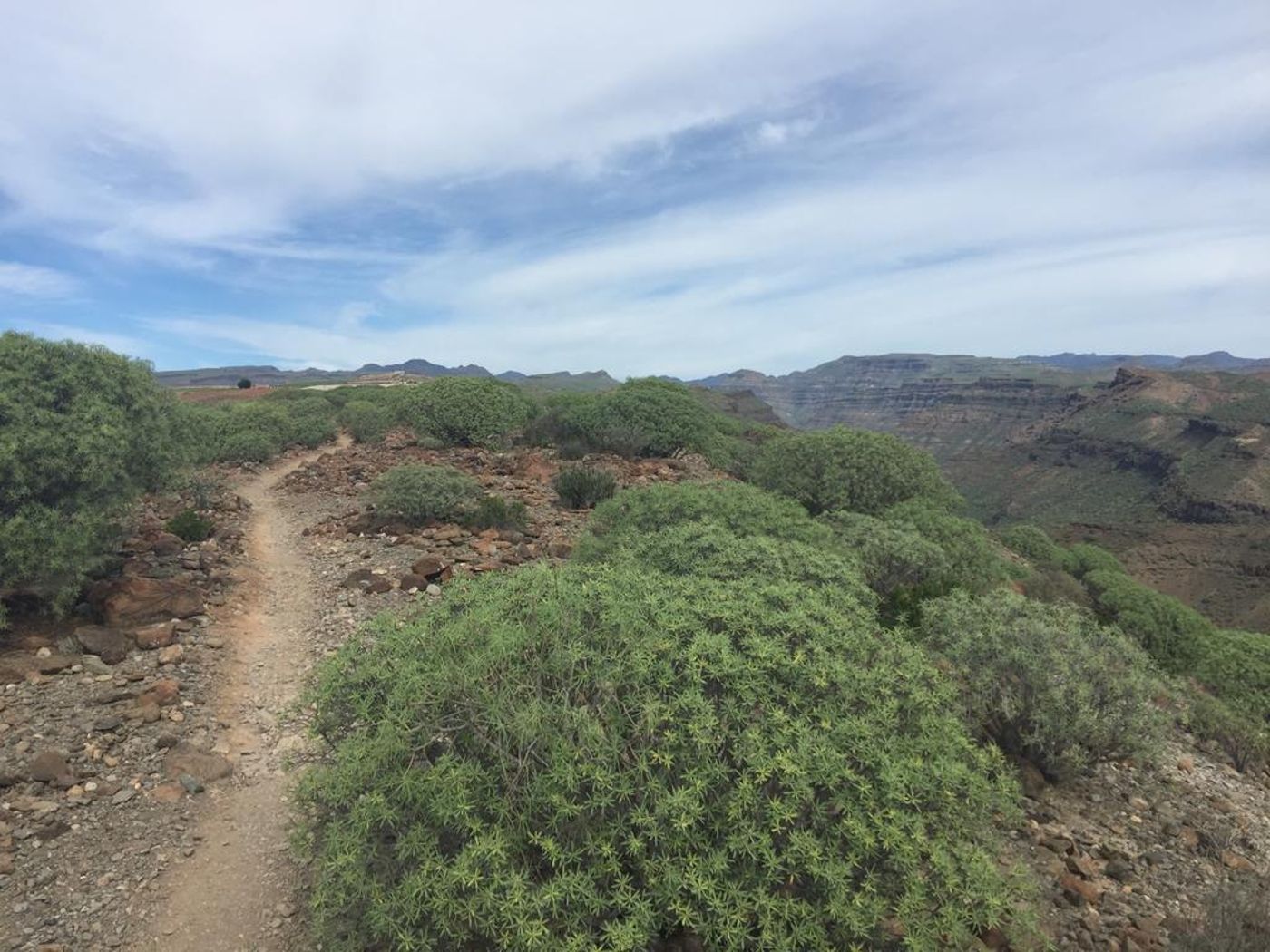 Bull Dorado Beach & Spa