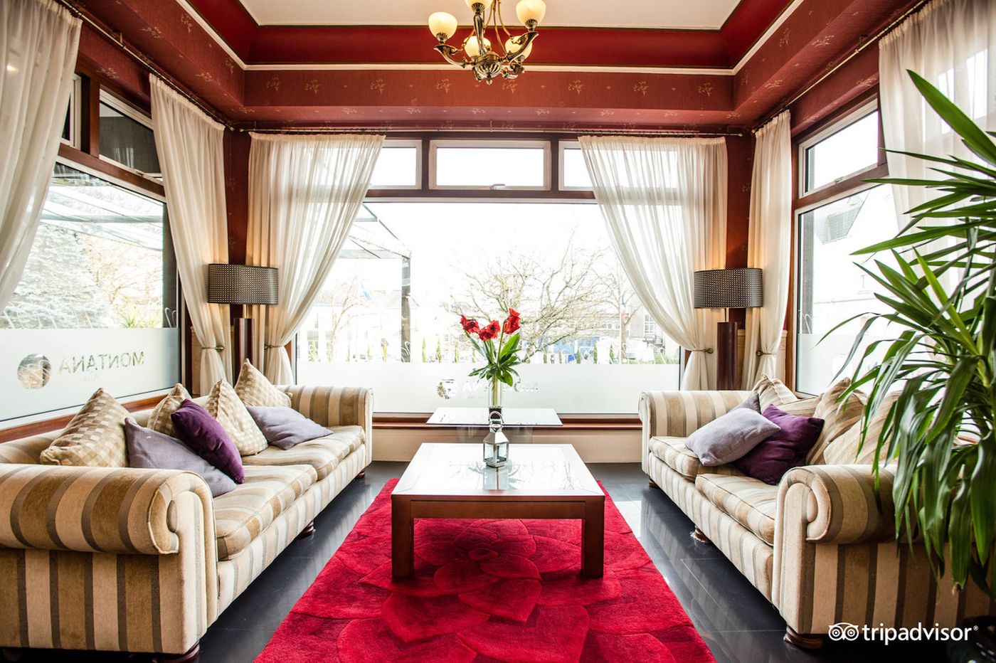 Savoy Jersey-United Kingdom-SAINT HELIER-General view-9