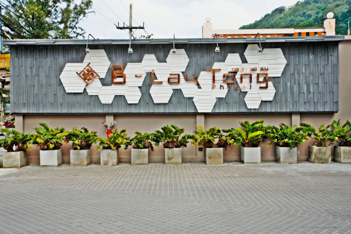 B-Lay-Tong-General-view-17