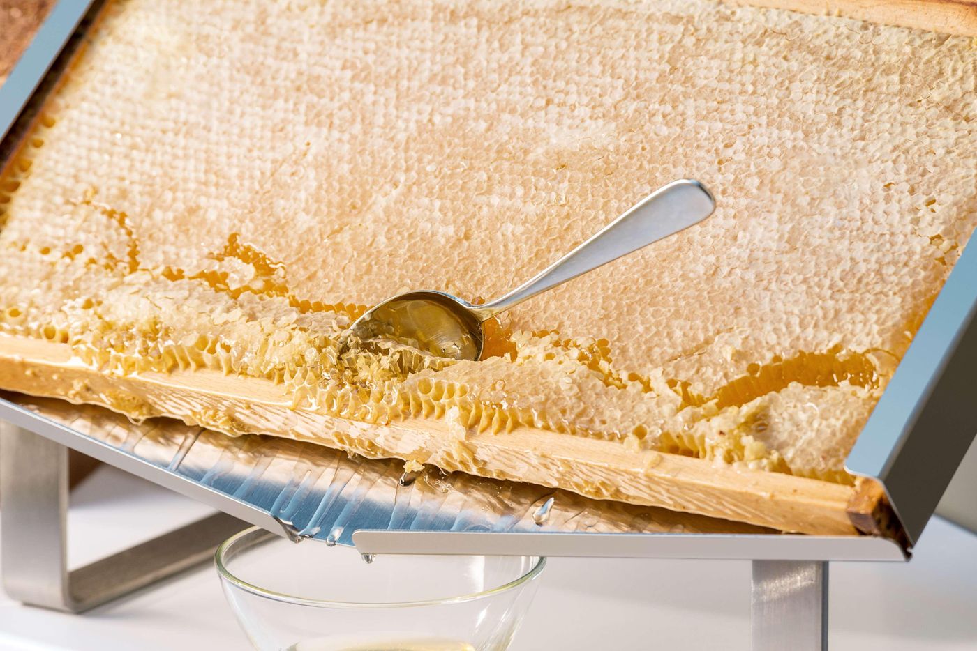 NH-Collection-Munchen-Bavaria-Restaurant-58