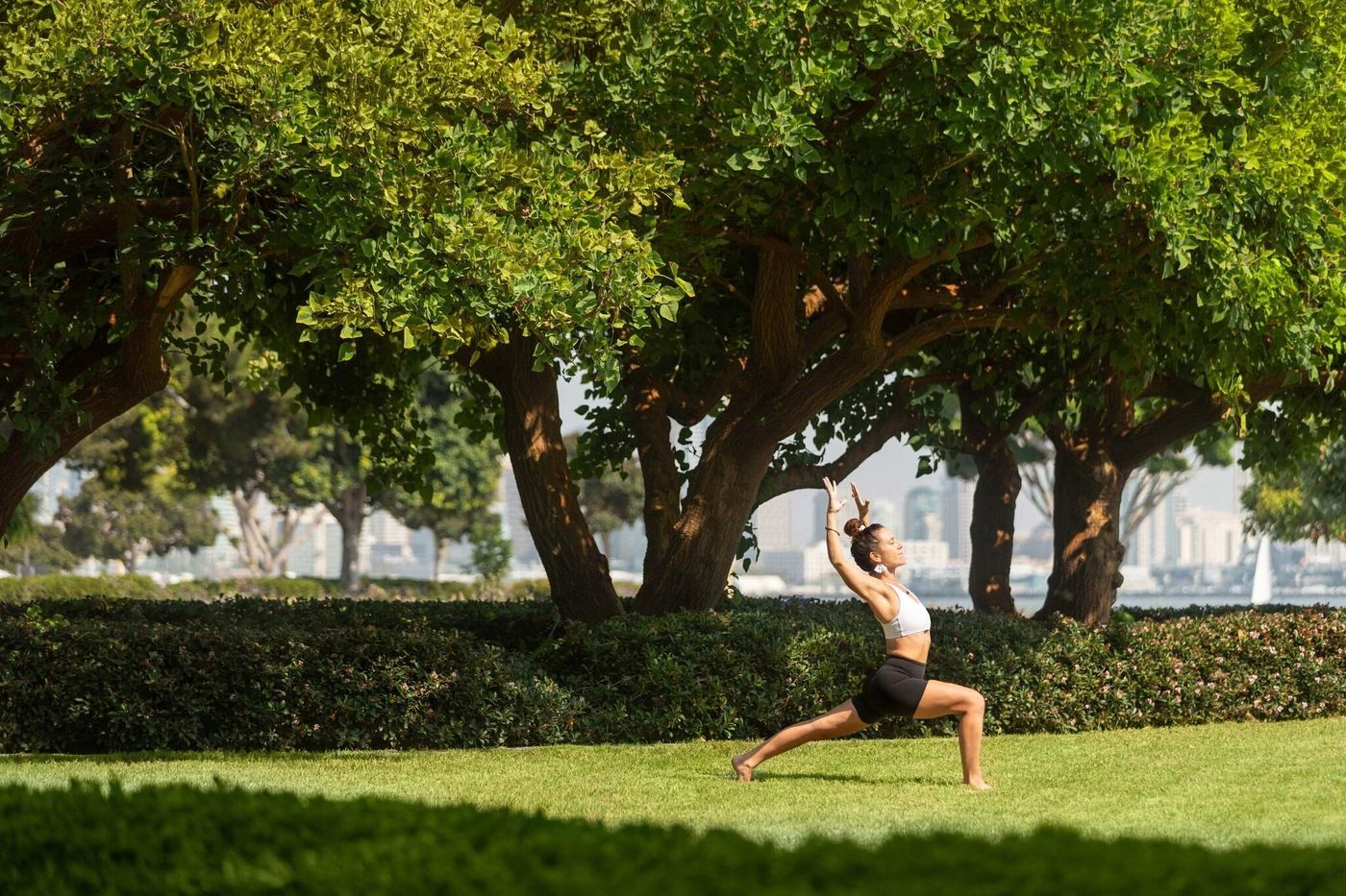 Sheraton San Diego Hotel & Marina - United States - SAN DIEGO - General view - 7
