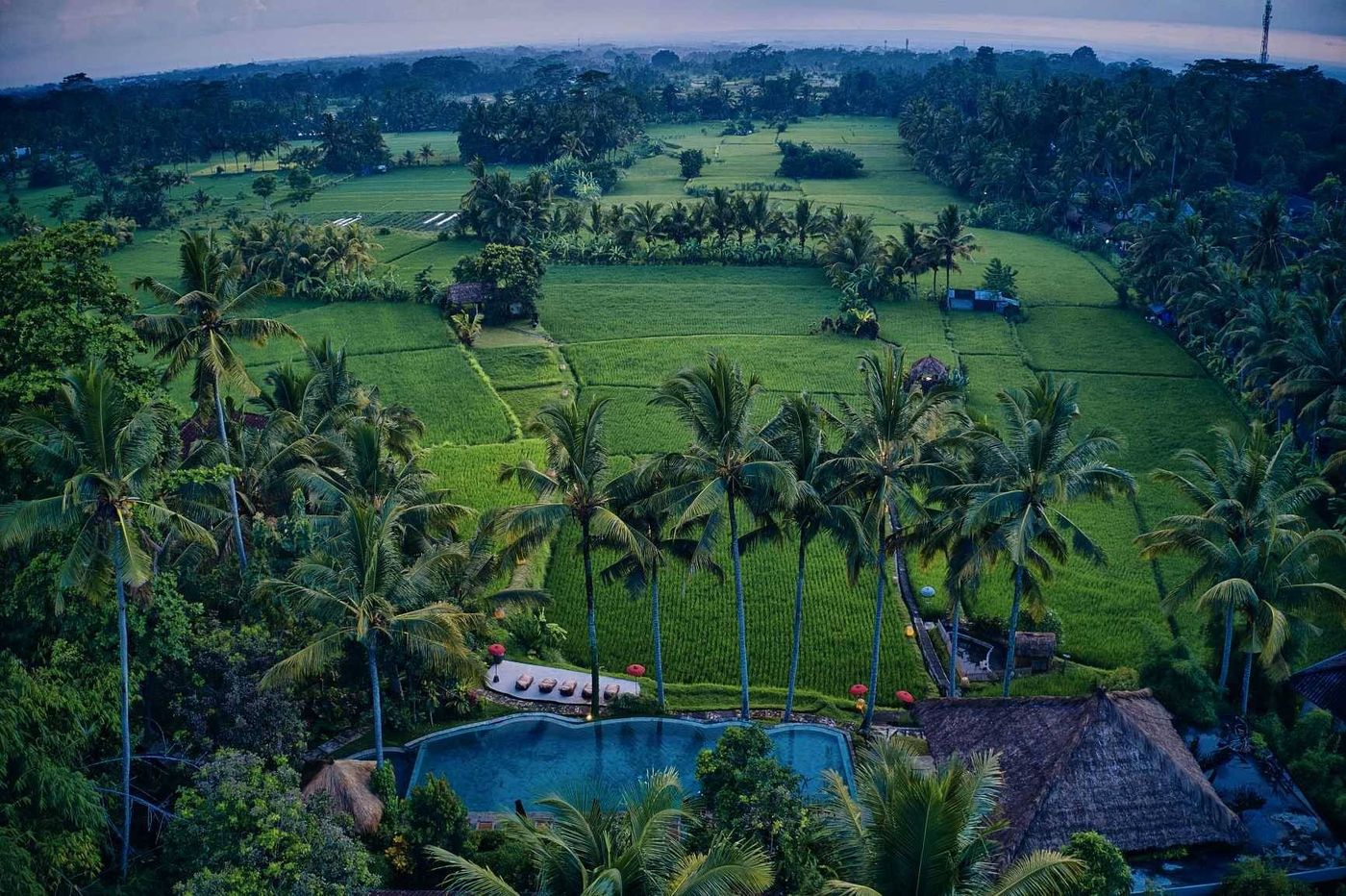 MATHIS Retreat Ubud-Indonesia-Bali-General view-1