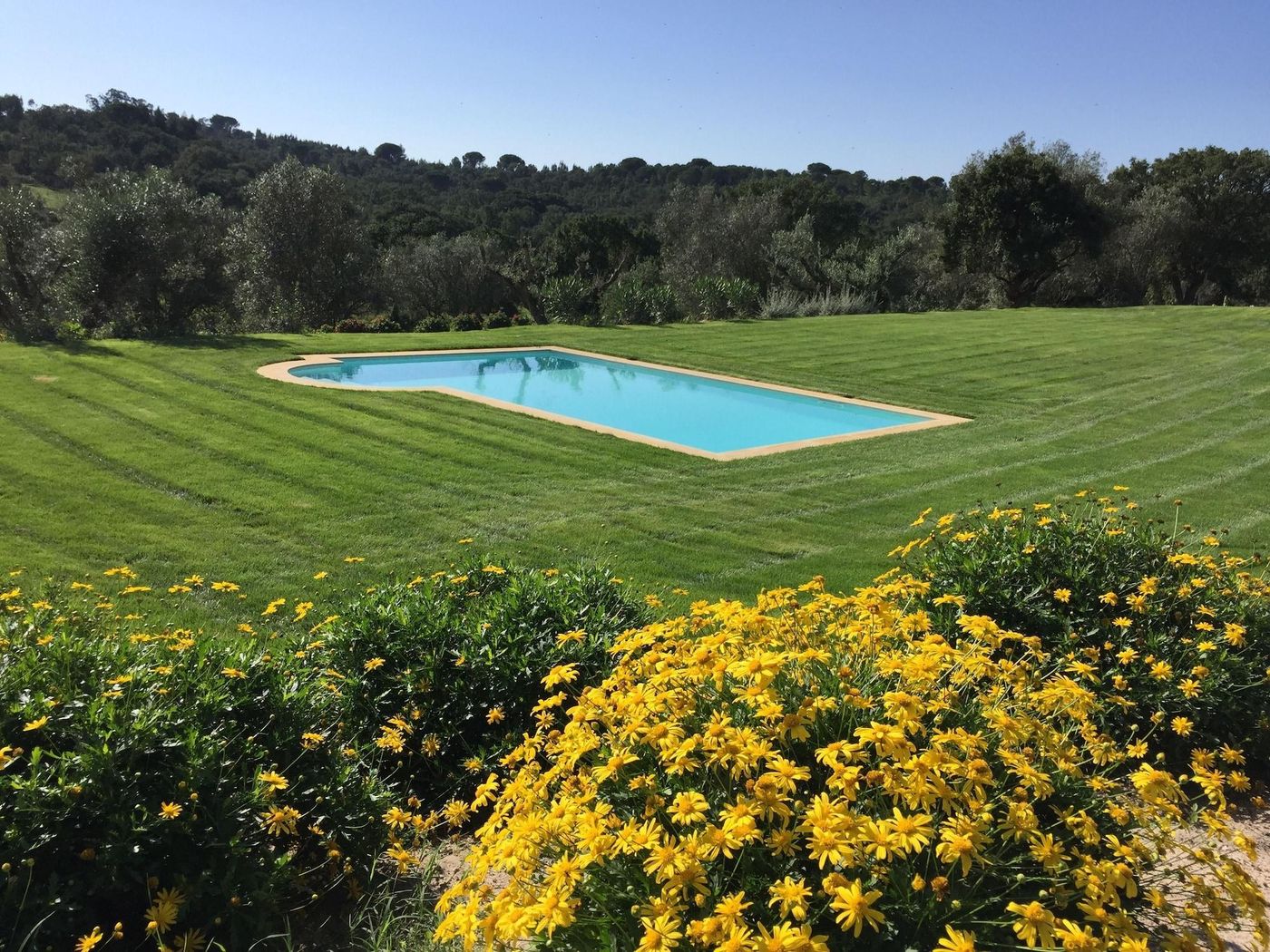 Casa-Do-Alfaro-Sports-and-Entertainment-7