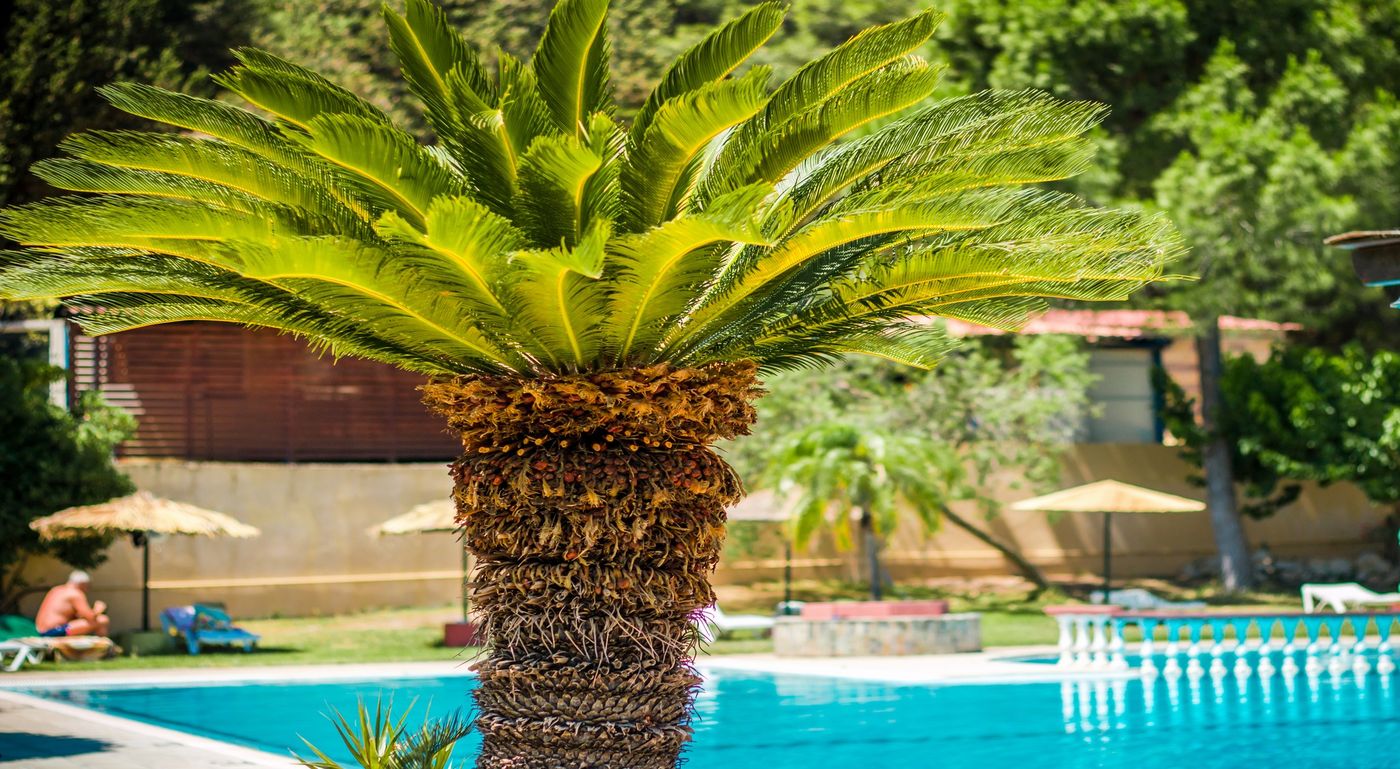 Achousa-Hotel--Pool-7