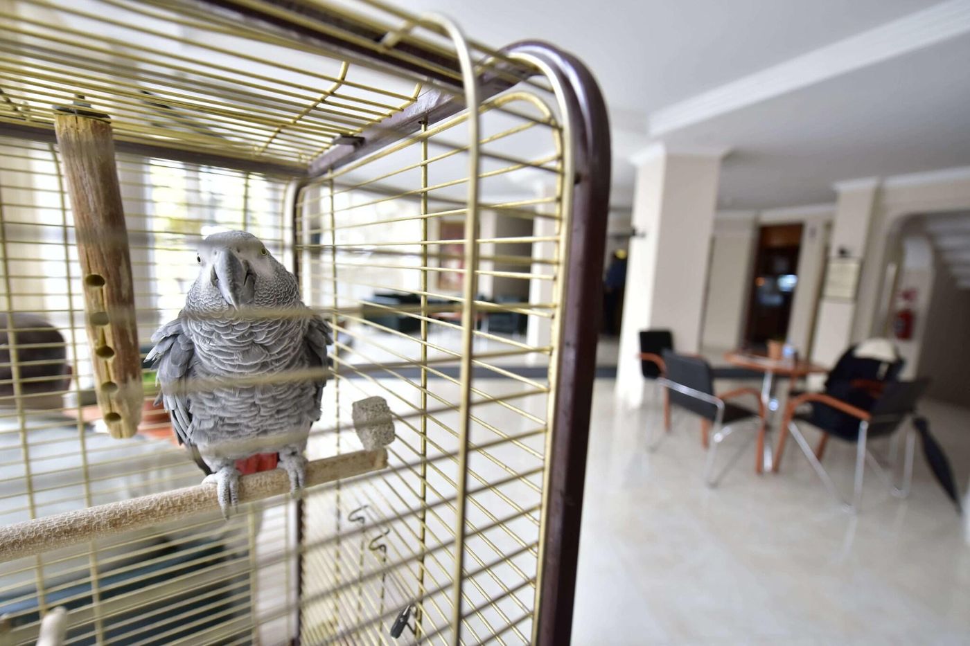 Hotel-Topkapi-Lobby-36