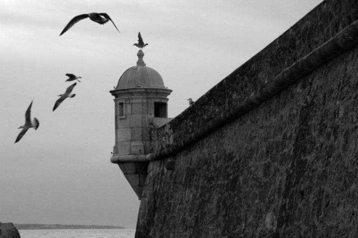 Vilas-Dinis---Adults-Only-Sports-and-Entertainment-66