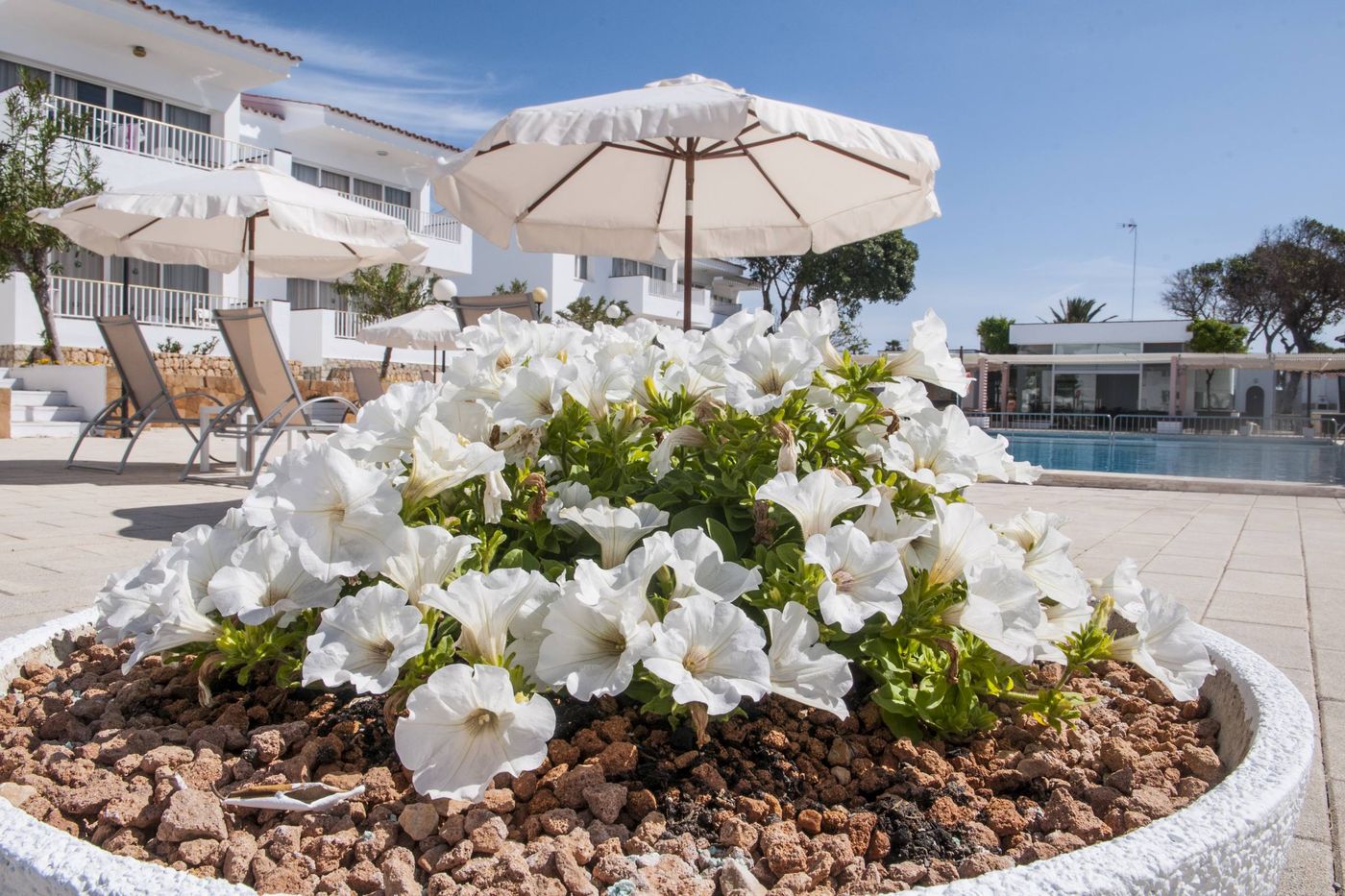 Los-Naranjos-General-view-20