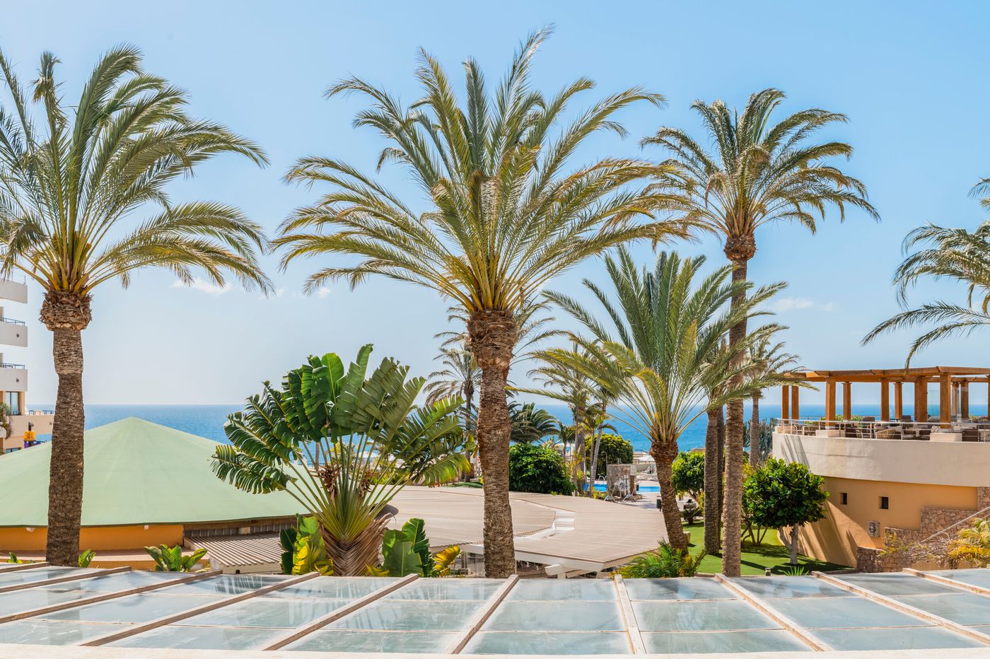 IBEROSTAR-Playa-Gaviotas-Room-80