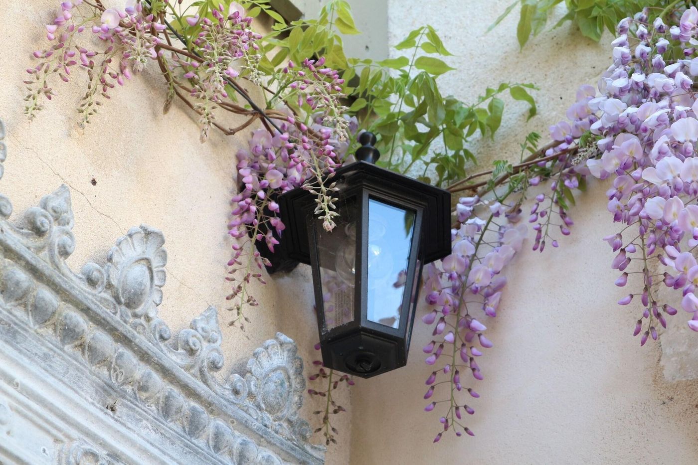 La Maison Douce-France-Saint Martin de Ré-General view-6