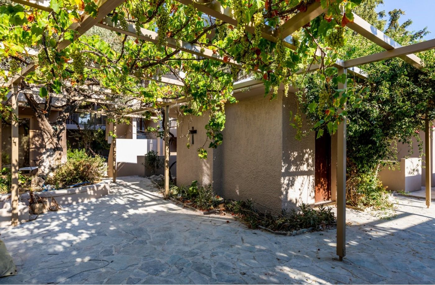 White Olive Premium Lindos