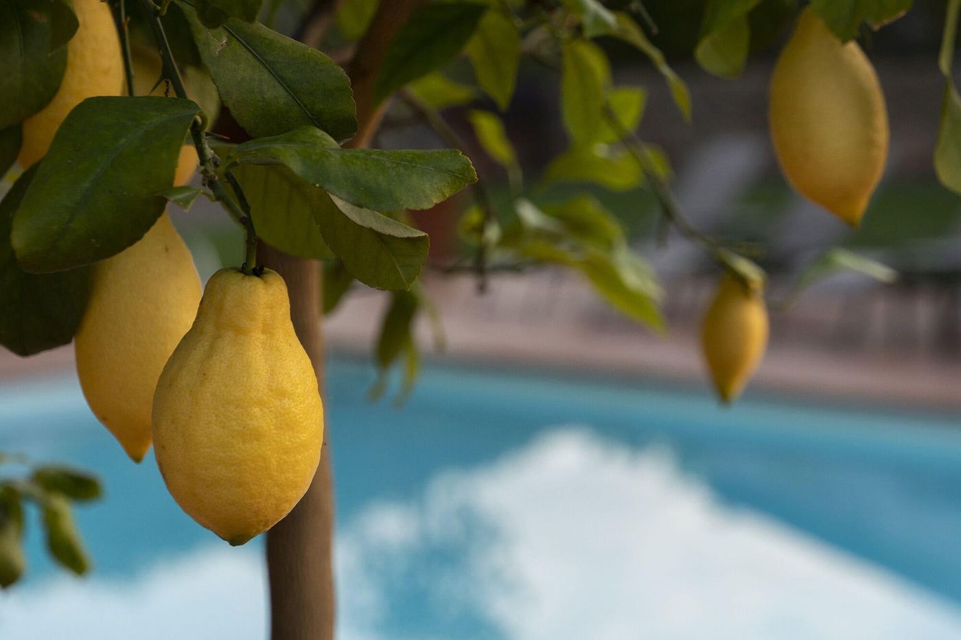 Relais-Le-Macine-Di-Stigliano-Sports-and-Entertainment-57