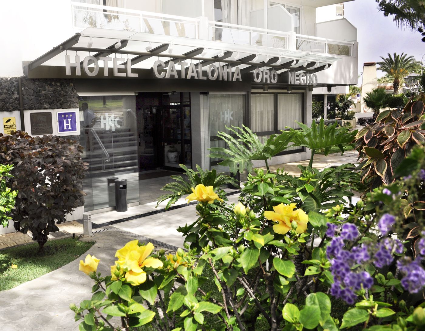 Catalonia-Oro-Negro-General-view-14