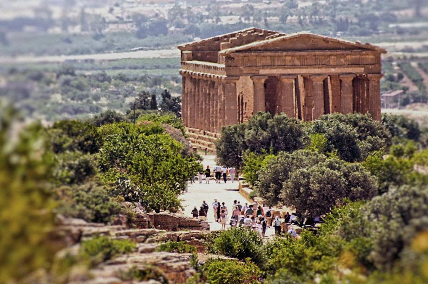 Dei-Pini-Sports-and-Entertainment-38