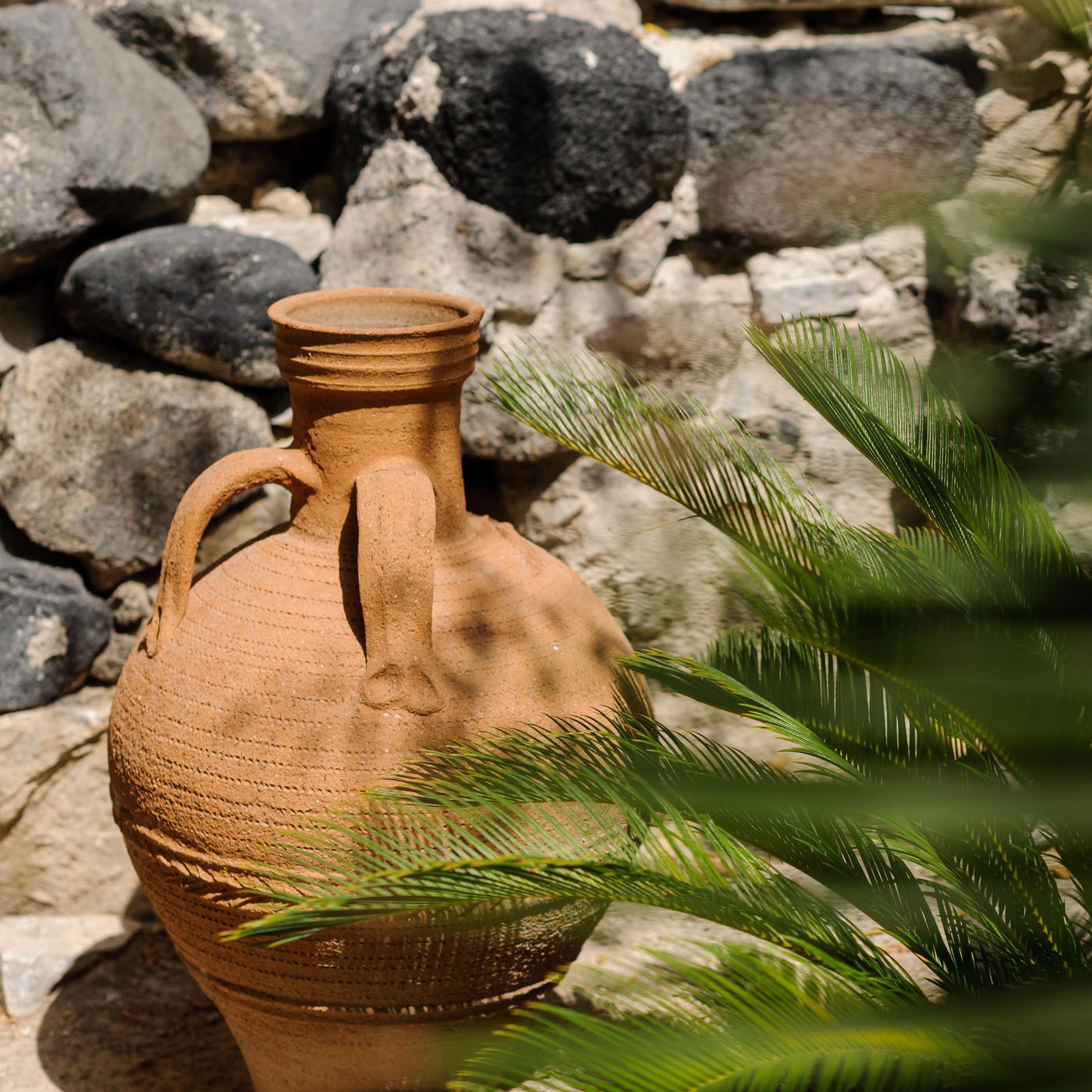 Afroditi-Venus-Sports-and-Entertainment-108