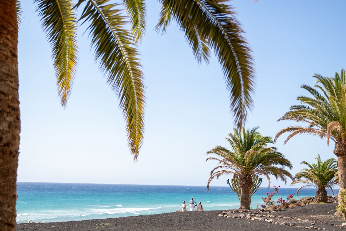 Iberostar-Hotel-Playa-Gaviotas-Park-Beach-74