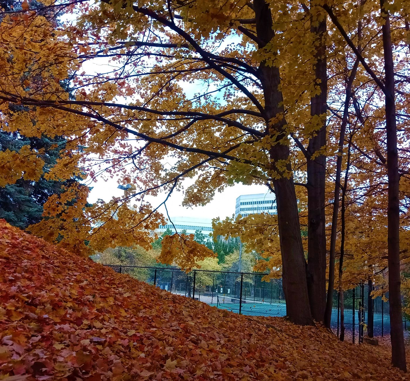 Pan Pacific Toronto-Canada-TORONTO-General view-2