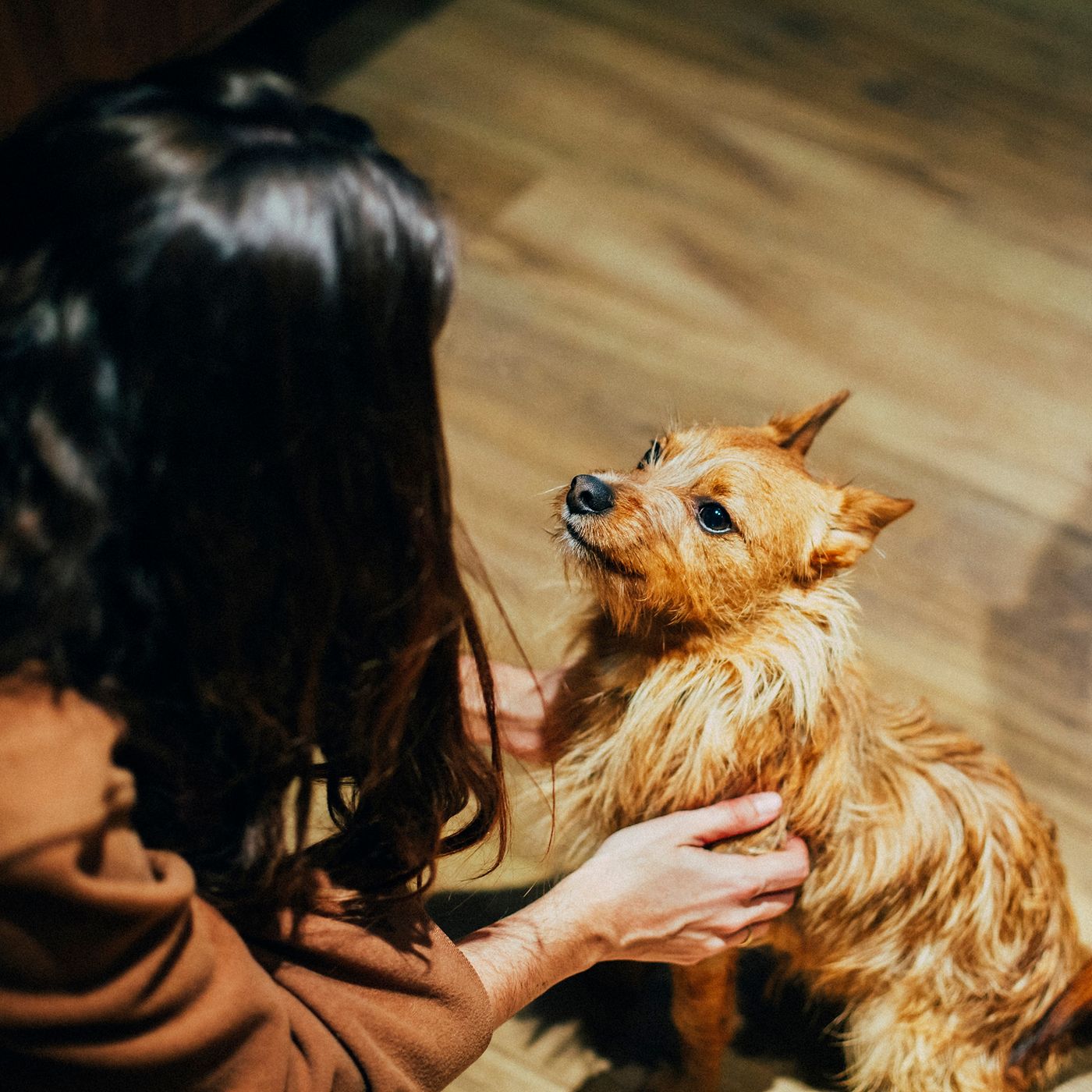 Petite-Palace-Plaza-Hotel-Room-43