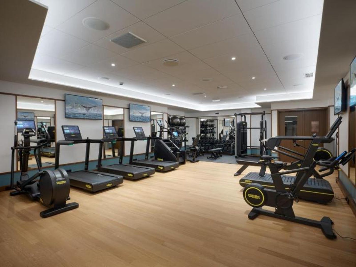 Iceland Parliament Hotel, Curio Collection By Hilt