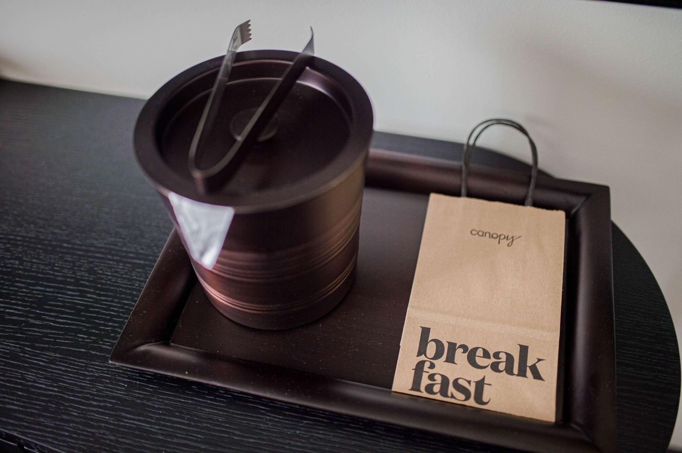 Canopy-by-Hilton-Jersey-City-Arts-District-Room-58