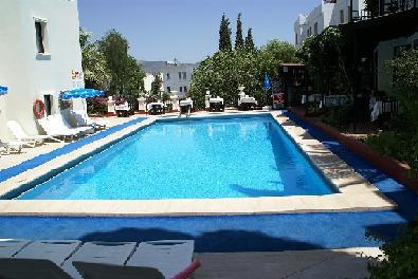 Paloma Hotel