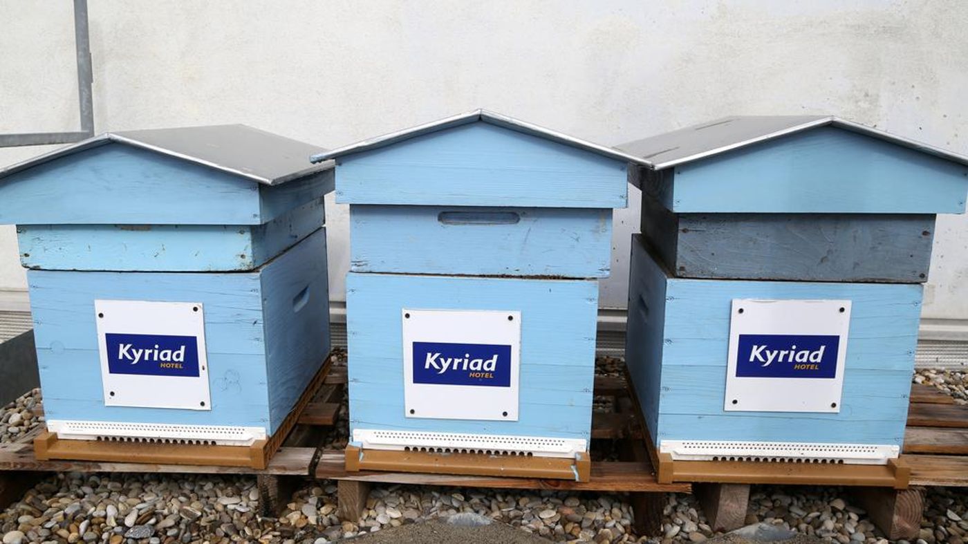 Kyriad Marseille Palais Des Congres - Velodrome-France-MARSEILLE-General view-2