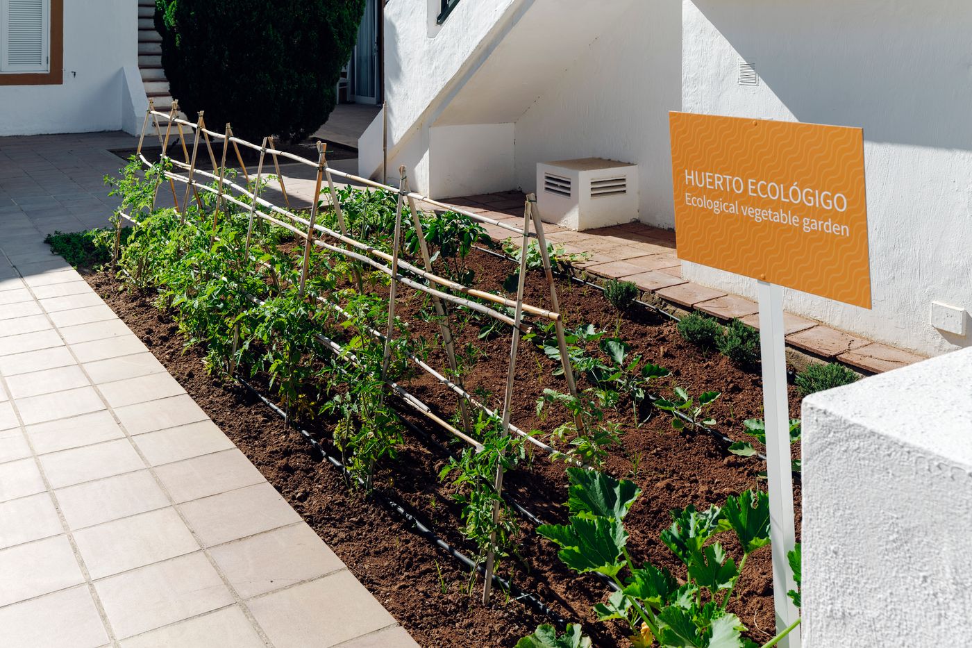 AluaSun-Lago-Park-General-view-11